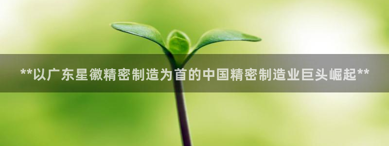 彩神v8几个版本