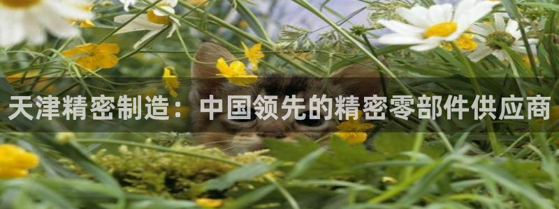 彩神8软件下载