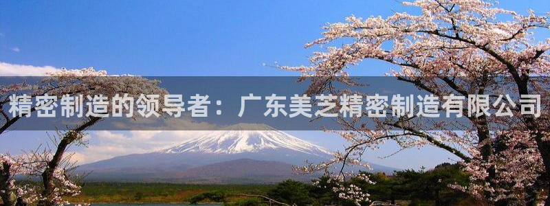 彩神网正规吗