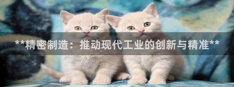 彩神iv是正规平台吗?