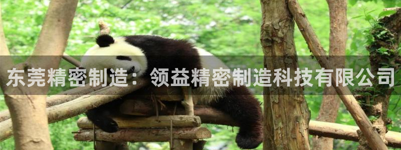 彩神赢了钱登录不上去