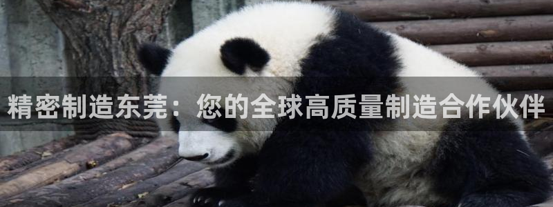 彩神购彩-购彩大厅入口计划群