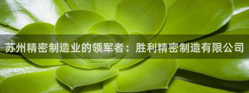 彩神vii手游下载
