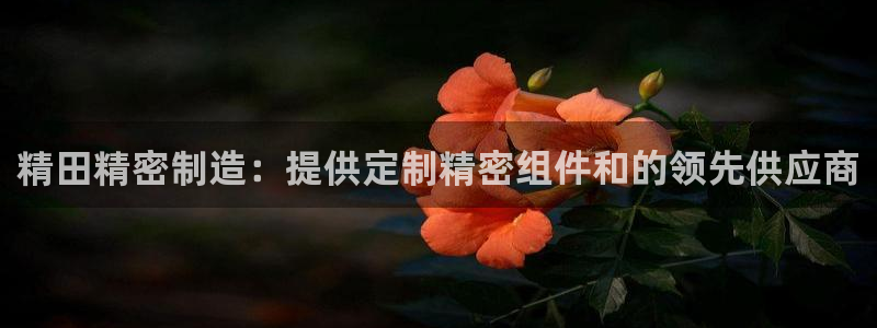 天天赢彩神