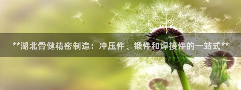 彩神vip官方网站