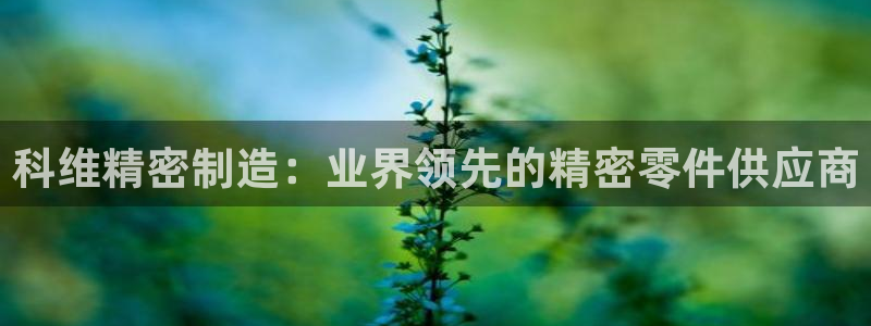 彩神8是正规平台吗是正品吗