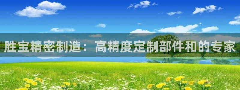 彩神ix官网是哪个公司的
