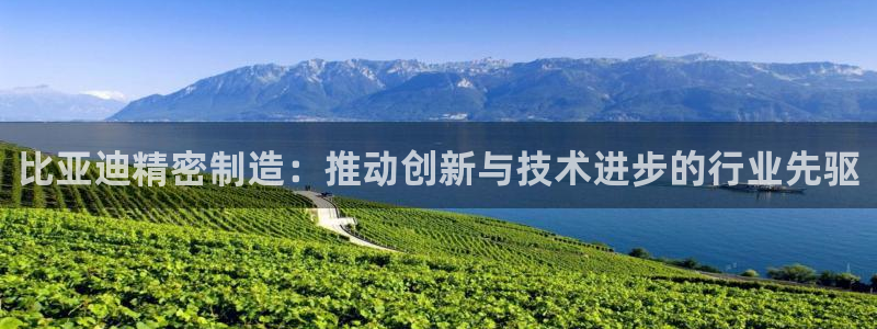 彩神V购彩大厅