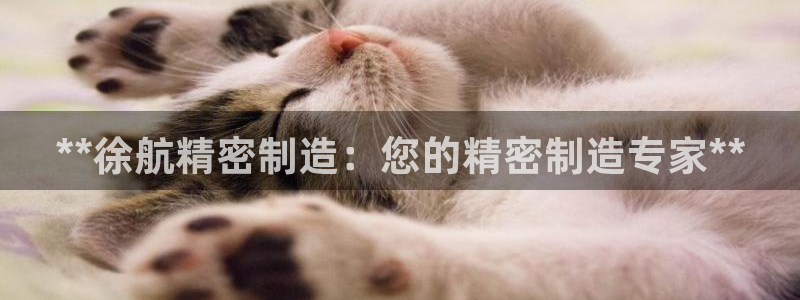 彩神用户登录