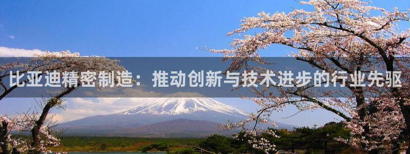 彩神VII购彩中心