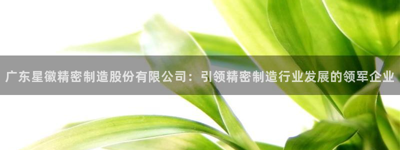 新版彩神v8登录教程