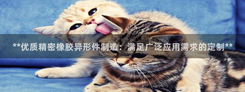 彩神vip官方网站
