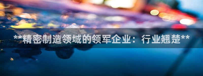 彩神数码科技有限公司