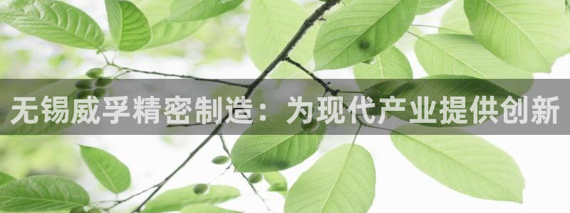 彩神vⅲ下载安装