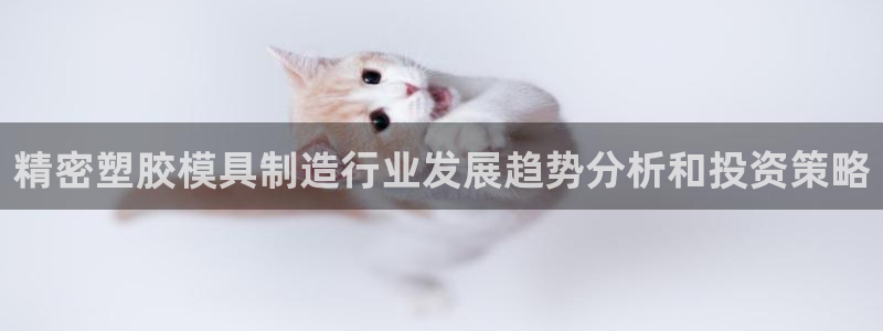 彩神v8首页