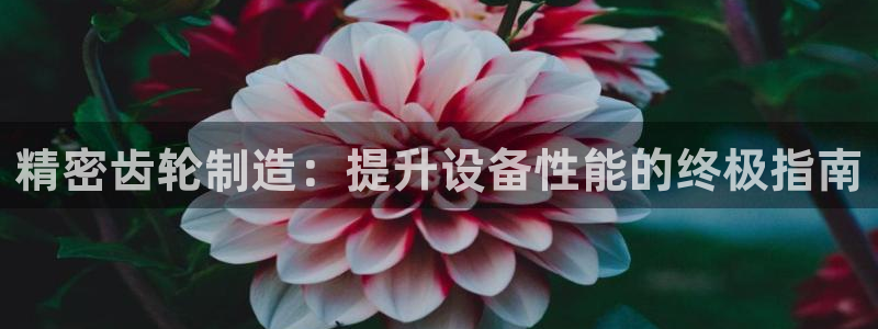 彩神vii购彩l心