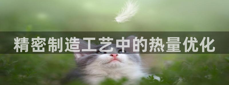 彩神ix官网