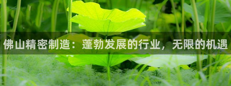 彩神v争霸是啥：佛山精密制造：蓬勃发展的行业，无限的机遇