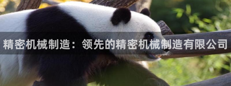彩神VII购彩中心