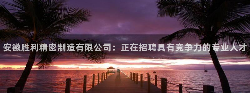 彩神v8手机客户端怎么下载
