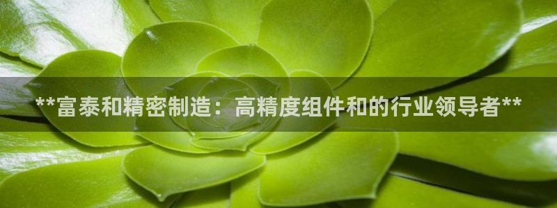 彩神V集团公司