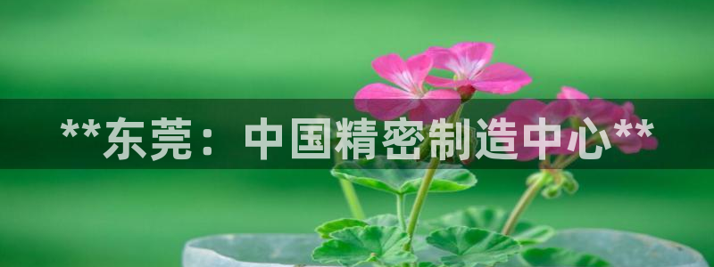 彩神iv是正规平台吗?