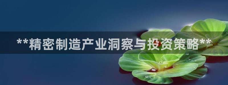 彩神合法吗.是国家认可的吗：**精密制造产业洞察与投资策略**