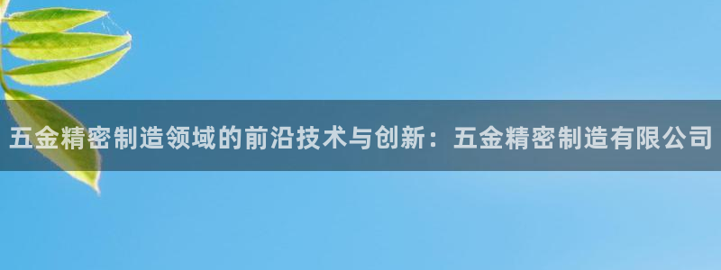 天天赢彩神：五金精密制造领域的前沿技术与创新：五金精密制造有限公司