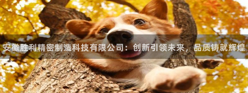 彩神是什么平台：安徽胜利精密制造科技有限公司：创新引领未来，品质铸就辉煌