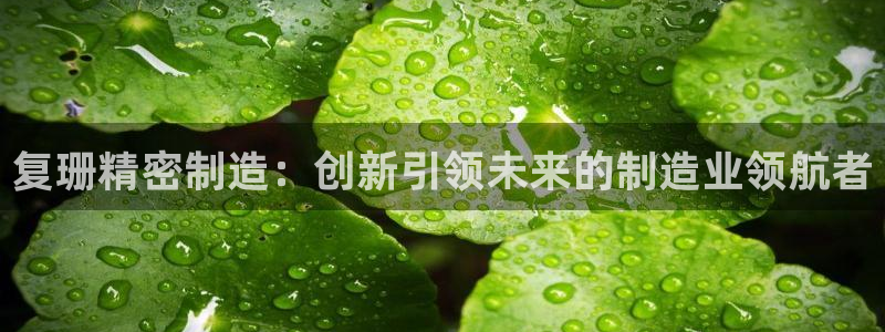 彩神ix是真的吗：复珊精密制造：创新引领未来的制造业领航者