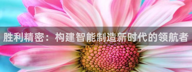 彩神8是正规平台吗：胜利精密：构建智能制造新时代的领航者