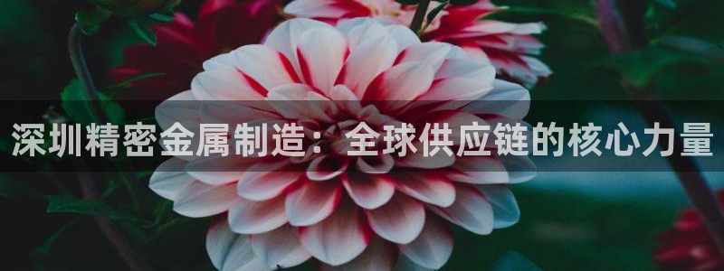 彩神app赚钱是真是假：深圳精密金属制造：全球供应链的核心力量