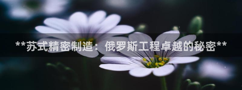 彩神x平台靠什么盈利：**苏式精密制造：俄罗斯工程卓越的秘密**