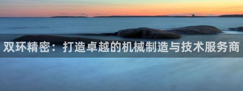 彩神ⅴll用户登录：双环精密：打造卓越的机械制造与技术服务商