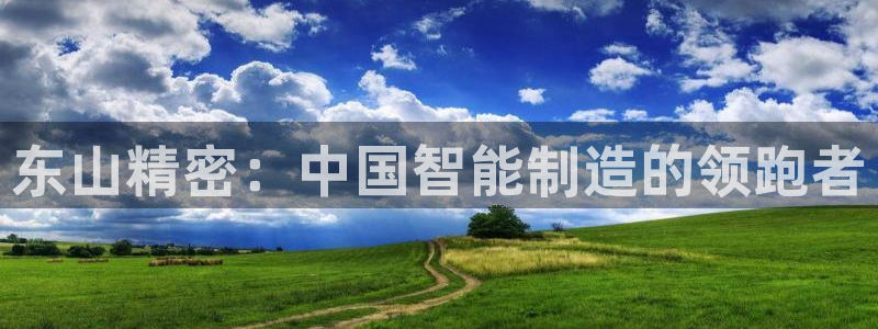 彩神v8首页：东山精密：中国智能制造的领跑者