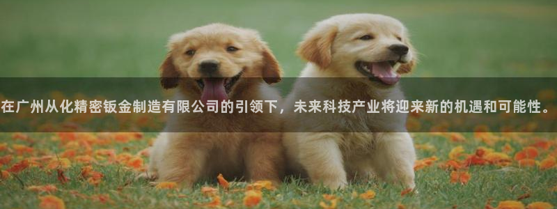 彩神官方邀请码是多少：在广州从化精密钣金制造有限公司的引领下，未来科技产业将迎来新的机遇和可能性。