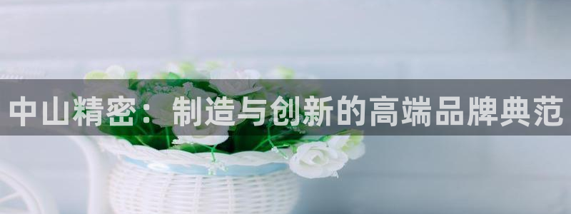 彩神v|：中山精密：制造与创新的高端品牌典范