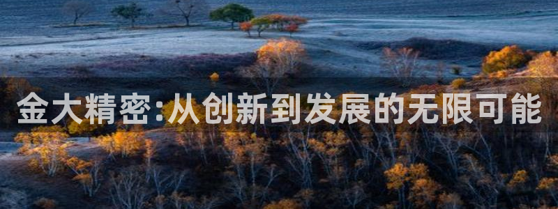 彩神大发黑平台：金大精密:从创新到发展的无限可能
