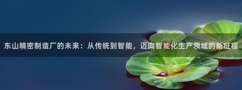 彩神购彩-购彩大厅入口：东山精密制造厂的未来：从传统到智能，迈向智能化生产领域的新征程