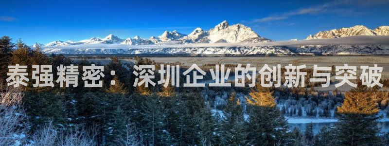 彩神v8是真的挣钱吗知乎：泰强精密：深圳企业的创新与突破