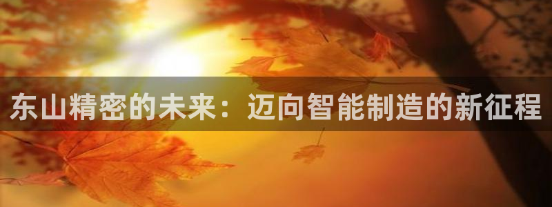 彩神velcome购