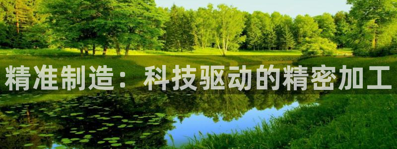 彩神vip购彩：精准