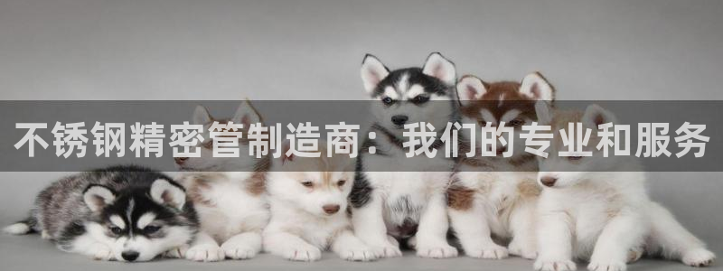 彩神v1官网：不锈钢
