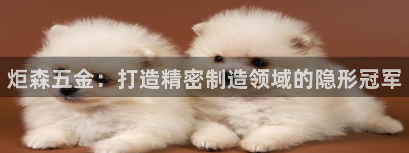 彩神v大众娱乐：炬森五金：打造精密制造领域的隐形冠军