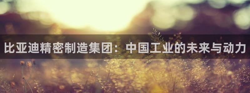 彩神vip购彩大厅在哪：比亚迪精密制造集团：中国工业的未来与动力