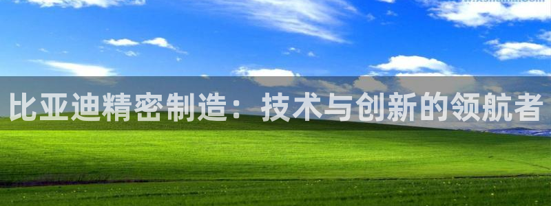 彩神通官方网：比亚迪