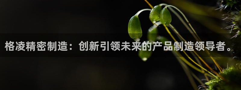 彩神争霸官方下载