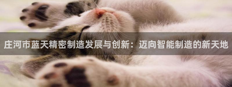 彩神输的钱是赌博还是诈骗