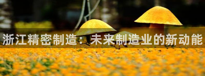 彩神ix能赚钱吗