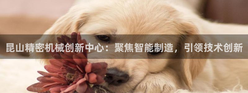 彩神v